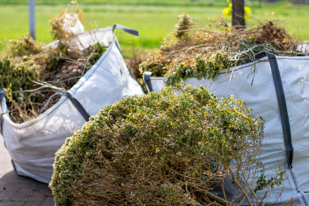 Best Commercial Cleanout Services  in Chippewa Falls, WI